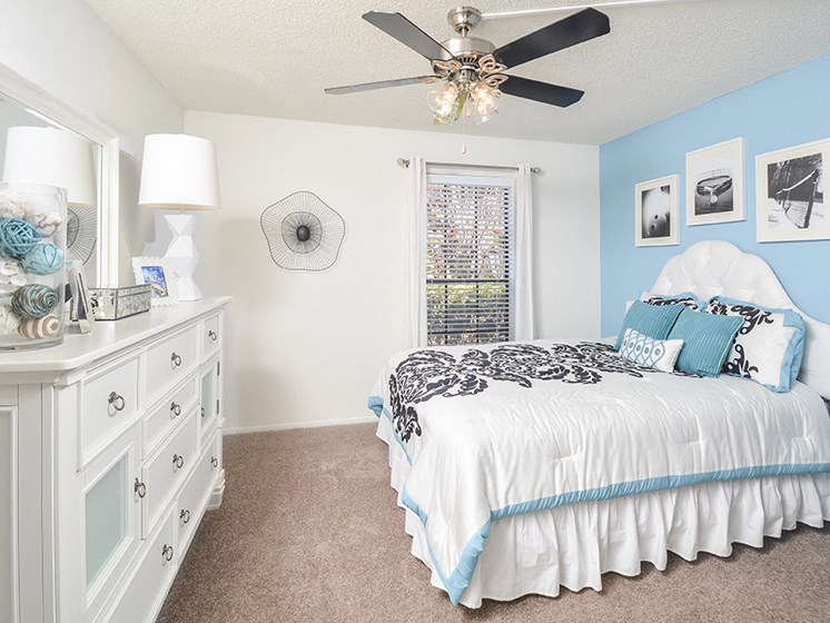 Large Windows and Carpeted Bedroom